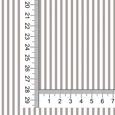 RL1103 V1