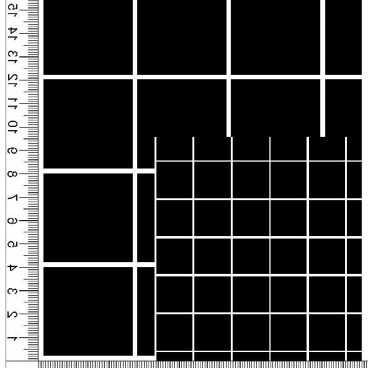 RL1119 V1